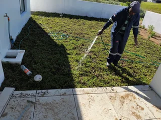 Instant lawn from farm