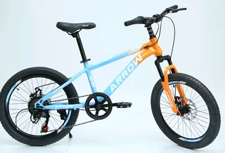 Brand New 20&#34; Arrow Mountain Bike (front Shocks/disc Brakes)