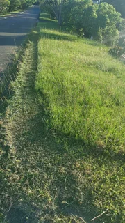 Landscaping - Ad posted by Leevin Meyer