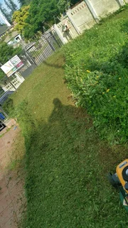 Landscaping - Ad posted by Leevin Meyer