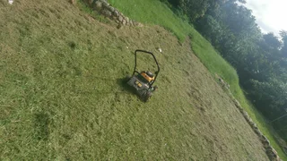 Landscaping - Ad posted by Leevin Meyer