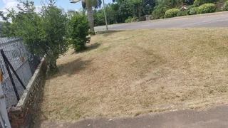 Landscaping - Ad posted by Leevin Meyer