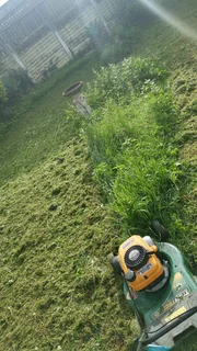 Landscaping - Ad posted by Leevin Meyer