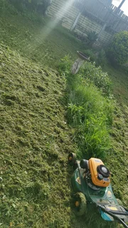 Landscaping - Ad posted by Leevin Meyer