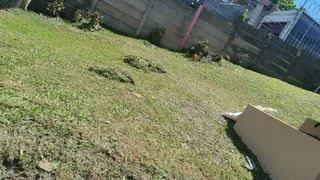 Landscaping services