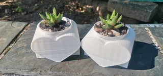 Custom made 3d Printing