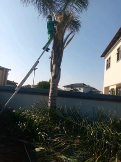 LIFE TREEFELLING &amp; PROJECTS