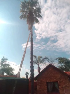 Life Treefelling/Boomsloping