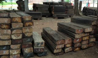 Wooden Railway Sleepers