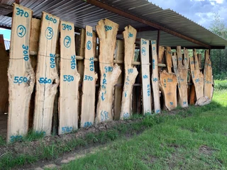 wood slabs or planks. Based on Beyers Naude drive