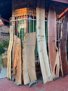 Timber slabs or wood planksfor sale in Moreletapark . Welcome to come and view.