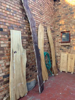 Timber slabs or wood planksfor sale in Moreletapark . Welcome to come and view.