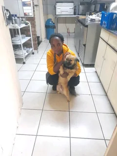 Malawian reliable chef, maid and nannies