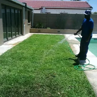 ***100%WEED FREE KIKUYU**LM BEREA**BUFFALO**COMPOST AVAILABLE IN STOCK***