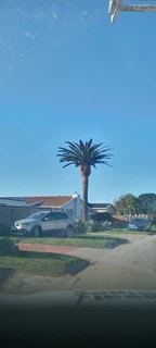 Savemore tree felling