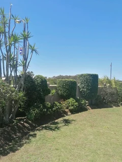 Savemore tree felling