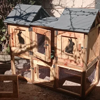 Rabbit hutch
