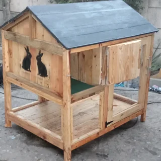 Large Rabbit hutch