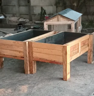 Planterboxes,  steady and neat