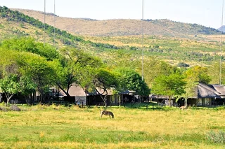 Bakubung Bush Lodge - December Holiday