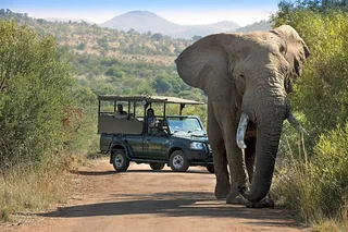 Bakubung Bush Lodge - December Holiday