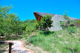 Bakubung Bush Lodge - December Holiday