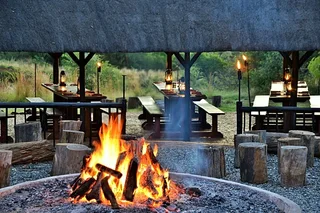 Bakubung Bush Lodge - December Holiday