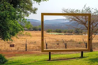 Bakubung Bush Lodge - December Holiday