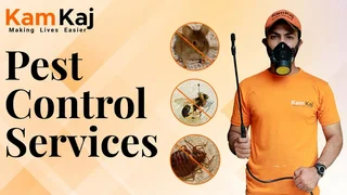 Pest control specialists and fumigators