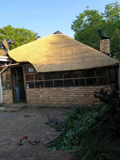 Thatch Lapas | Thatch Specialist | Thatch Roofs | Thatch Repairs