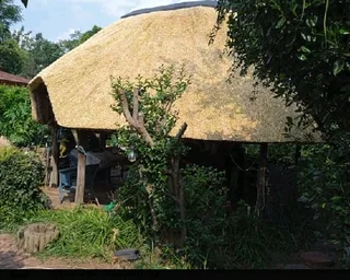 Thatch Specialist | Thatch Roofs | Thatch Lapas