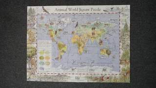 Puzzle from DK
