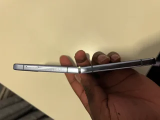 Z Flip 4