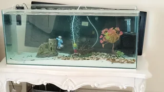 Fish tank combo for sale umhlanga