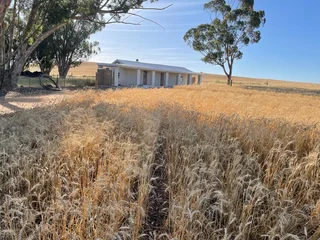 KORINGBERG newbuilt cottage
