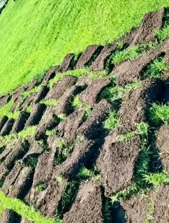 ROLL ON LAWN SUPPLY AND INSTALL