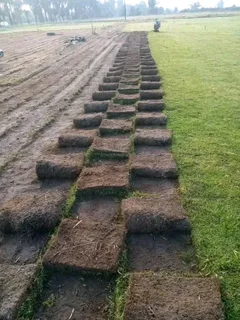 ROLL ON LAWN SUPPLY AND INSTALL