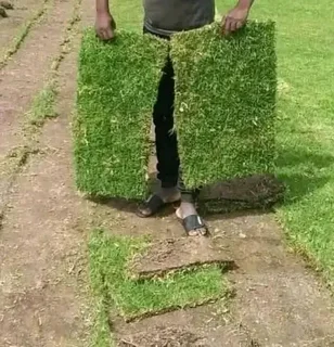 ROLL ON LAWN SUPPLY AND INSTALL