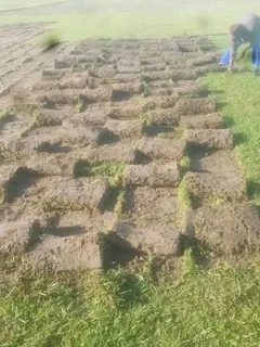 ROLL ON LAWN SUPPLY AND INSTALL