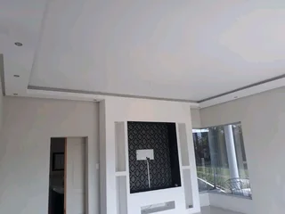 Ceiling and partitions