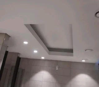 Ceiling and partitions