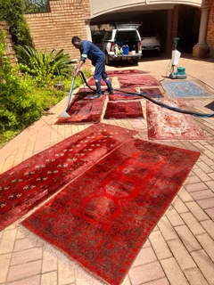 Carpet Upholstery Cleaning