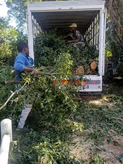 Garden refuse and rubble removals