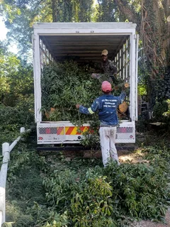 Rubble And Garden Refuses Removals