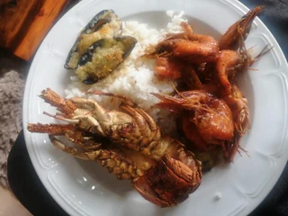 Halaal/halal Comfortable student accommodation offered in Rondebosch East, Cape Town. UCT