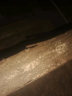 PEST CONTROL, ENTOMOLOGY CERTIFICATE COC, SOIL POISONING