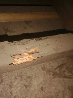 PEST CONTROL, ENTOMOLOGY CERTIFICATES, SOIL POISONING