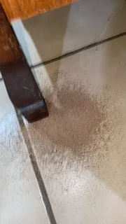 PEST CONTROL, ENTOMOLOGY CERTIFICATE, WOODBORER/TERMITE TREATMENT