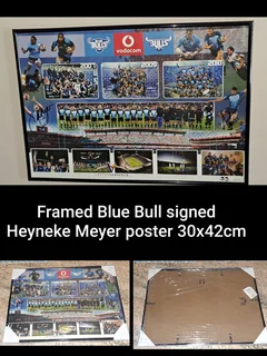 Singh Heyneke Meyer poster