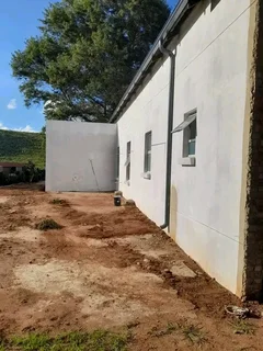 Professional  Painter Available